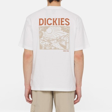 DICKIES - T-shirt Patrick Springs