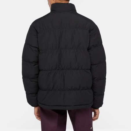 DICKIES - Scobey Down Jacket
