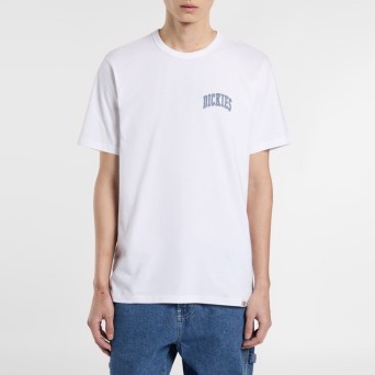 DICKIES - Aitkin T-shirt