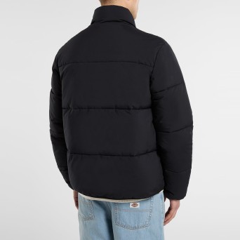 DICKIES - Piumino Summerdale 2