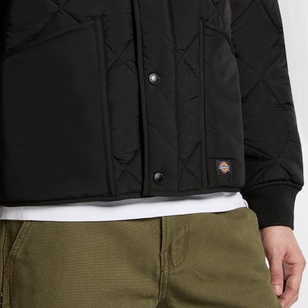 DICKIES - Veste Samburg DICKIES - Veste Samburg