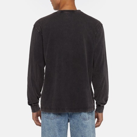 DICKIES - Sudadera Plentywood