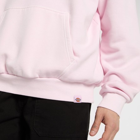 DICKIES - Sweat à capuche Slayden DICKIES - Sweat à capuche Slayden